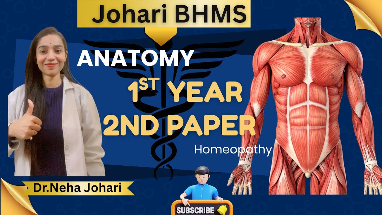 Anatomy 1st year  2nd paper| Important Question| Last minute video for Anatomy 1st year 2nd paper