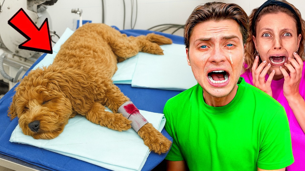 The Vet Gave Us Bad News…