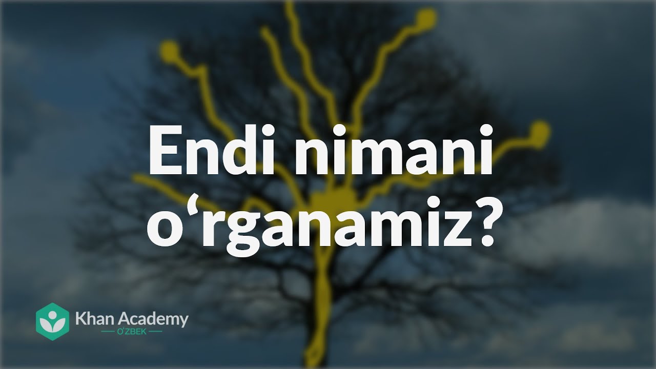 Endi nimani oʻrganamiz? | Kriptografiya | Informatika