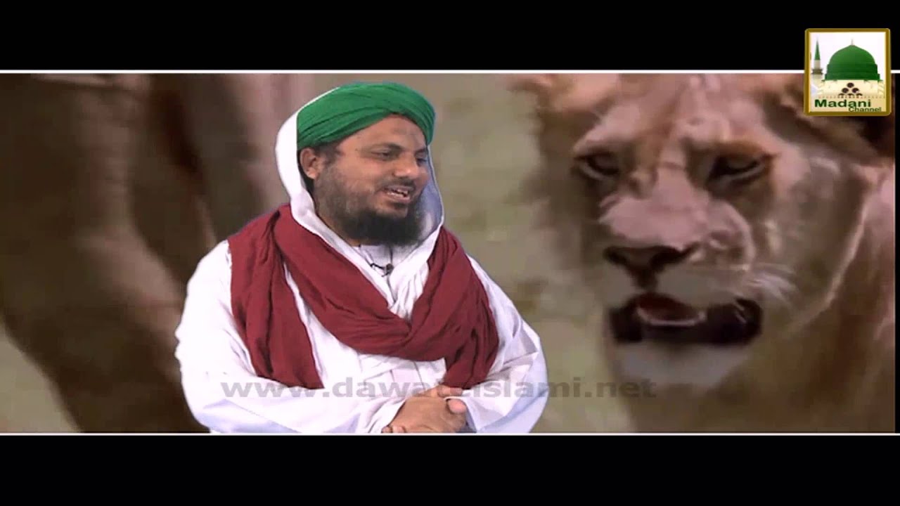Sher Ko Khuwab Me Dekhna Kesa (1)