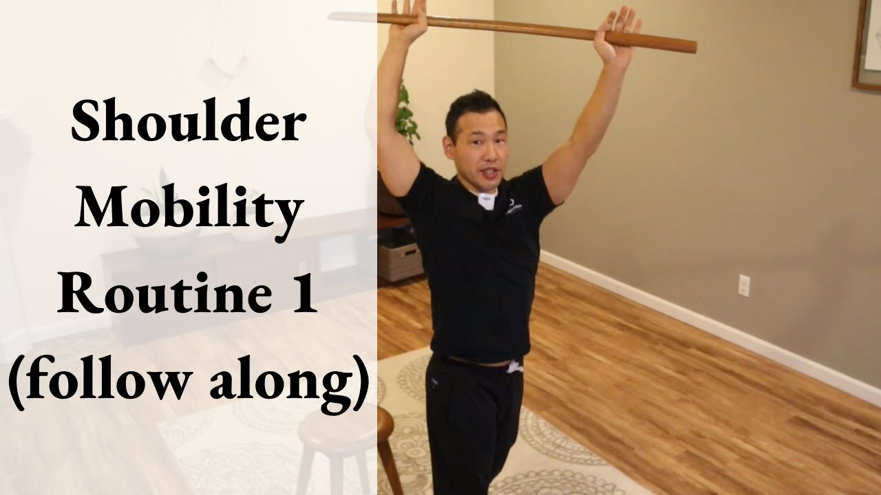 Shoulder Mobility Routine 1 (FOLLOW ALONG) 15 Minutes | Feldenkrais Style