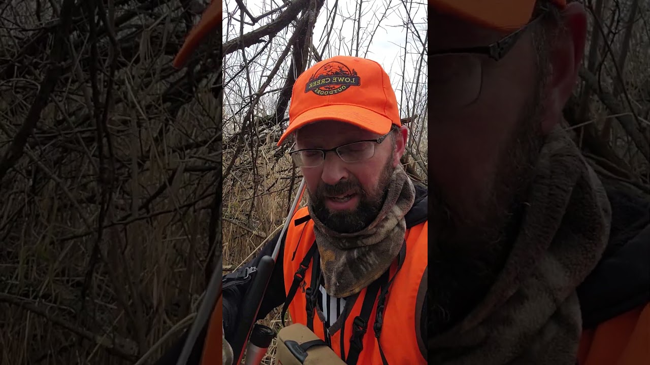 When & Where Buckthorn IS Beneficial!