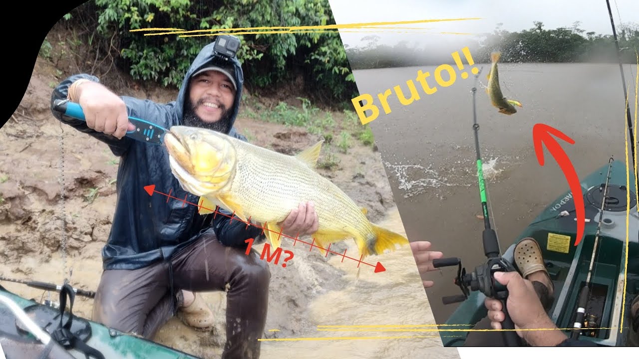 Pescaria de caiaque na chuva! Muita ação de peixe!!!