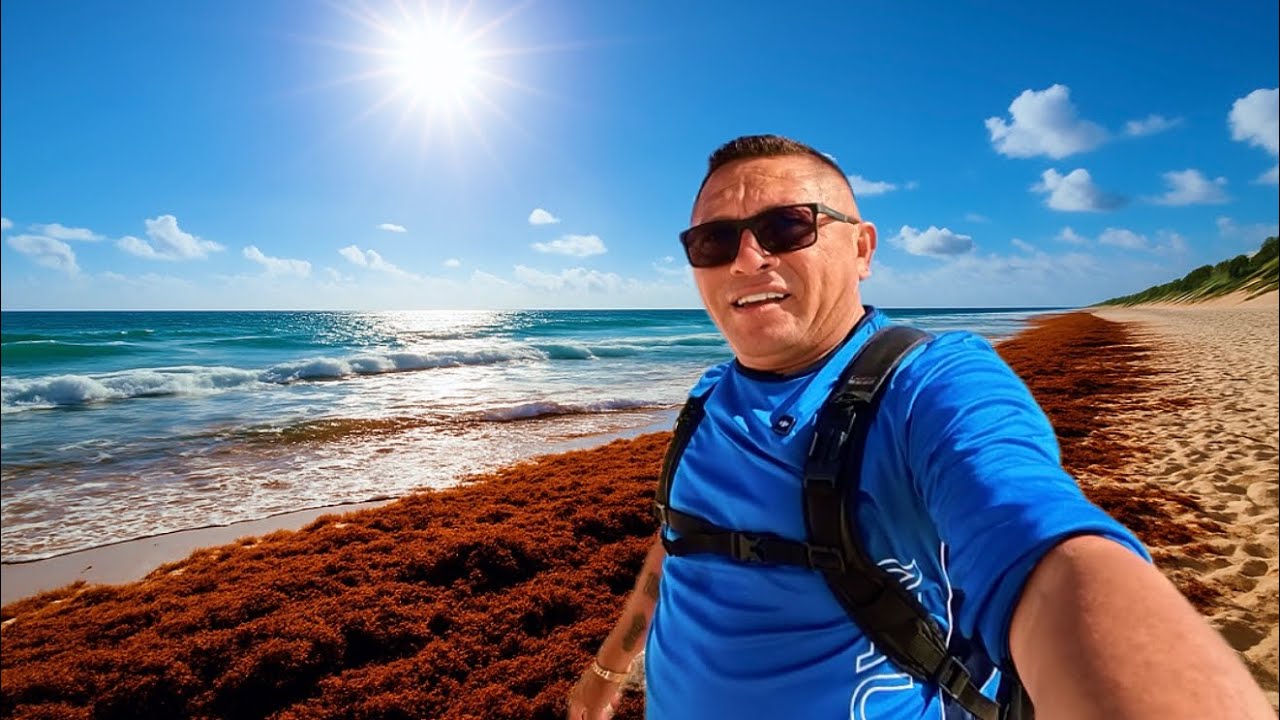 🛑 CANCÚN  SARGAZO ESTE 20 DE MAYO 🏖️ playa delfines