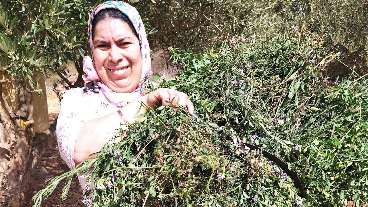روتين بدوي🤗 مع المرأة القروية🧕بنات مي نعيمة البدوية ❤️