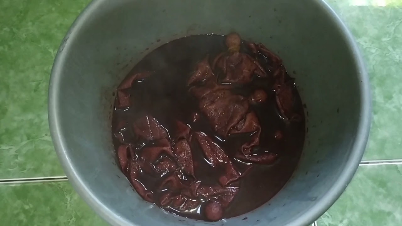 TUGAS PRAKARYA || TEMA 2 || DAUN JATI SEBAGAI PEWARNA ALAMI UNTUK KAIN BATIK