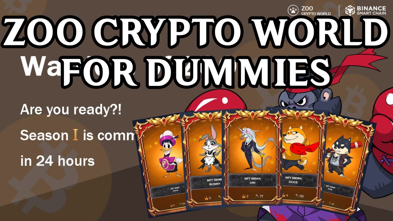 Zoo Crypto World for Dummies - A Beginner's Guide! *English*