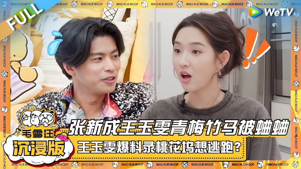 EP91超长沉浸版：张新成王玉雯青梅竹马被蛐蛐！王玉雯爆料录桃花坞想逃跑？？ |《毛雪汪》EP91 PLUS 