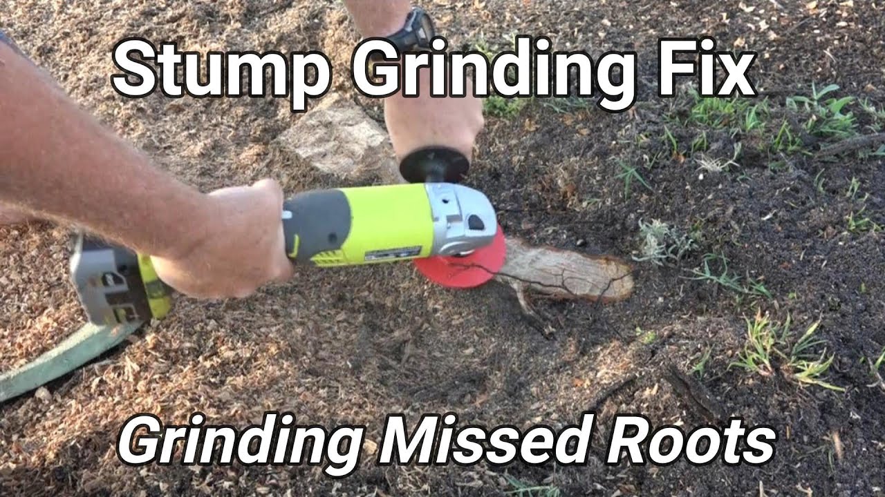 Stump Grinding Fix - Removing Missed Roots!