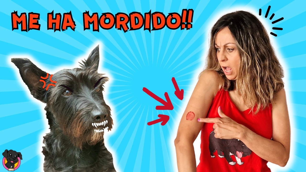¡MI PERRO ME HA MORDIDO! 😱😈 Broma a Súper Abu 😅