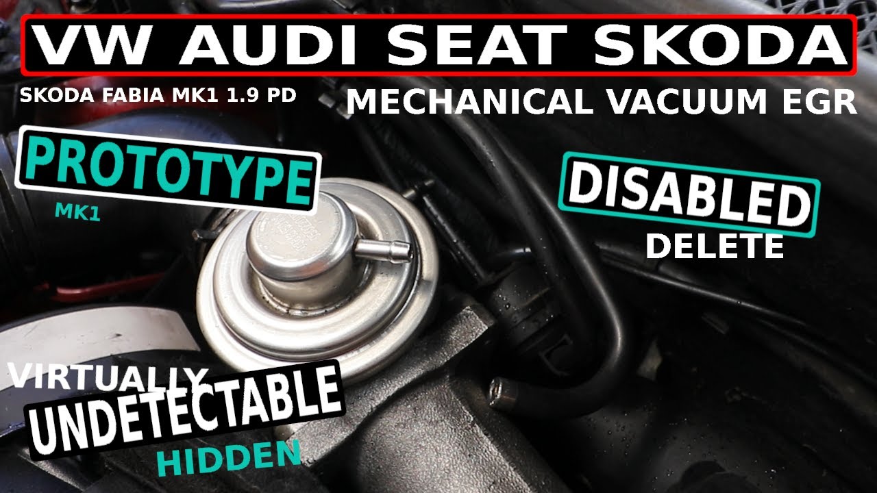 VW AUDI SEAT SKODA fabia mk1 1.9 PD EGR DELETE inc Prototype (не рекомендуется)