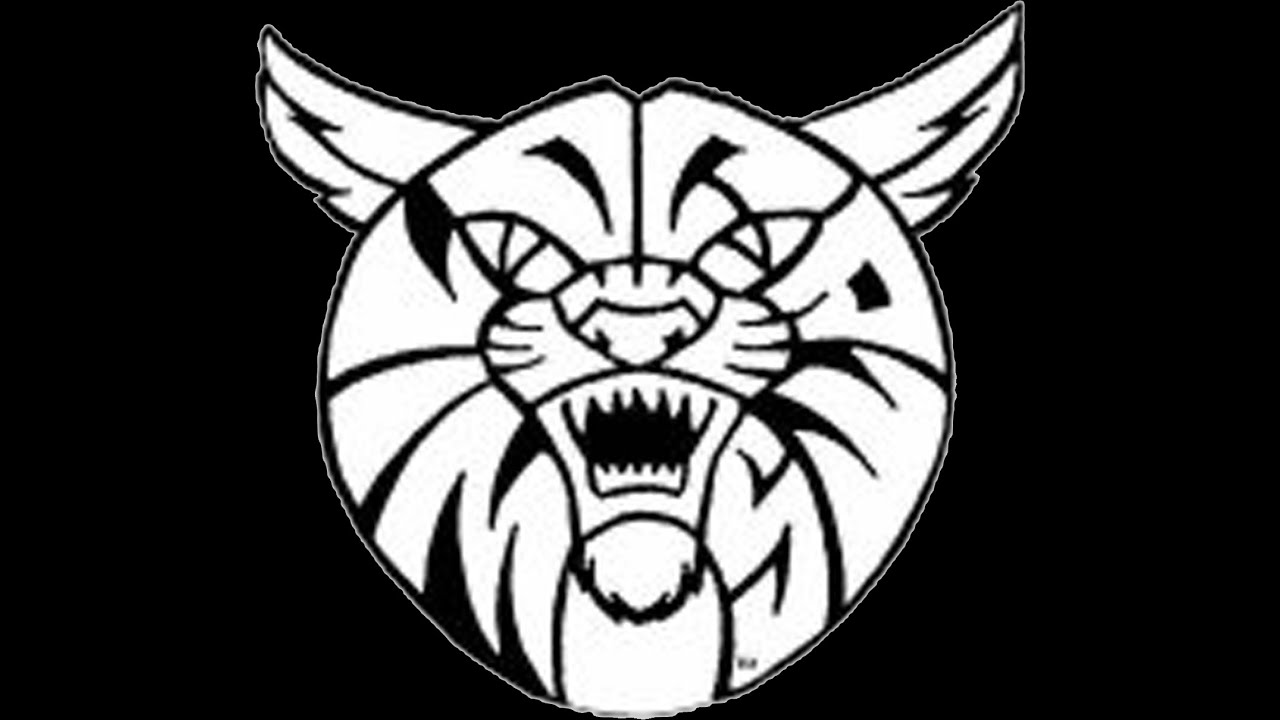 Westport High School 1995 Video Yearbook