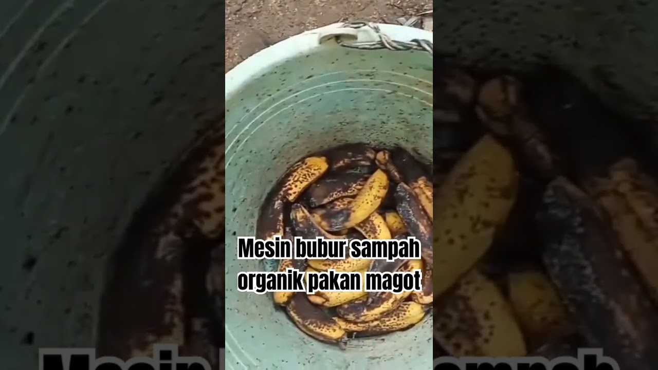Cara membuat mesin bubur sampah organik pakan magot #mesinbubur#creatif#mesinsampahorganik