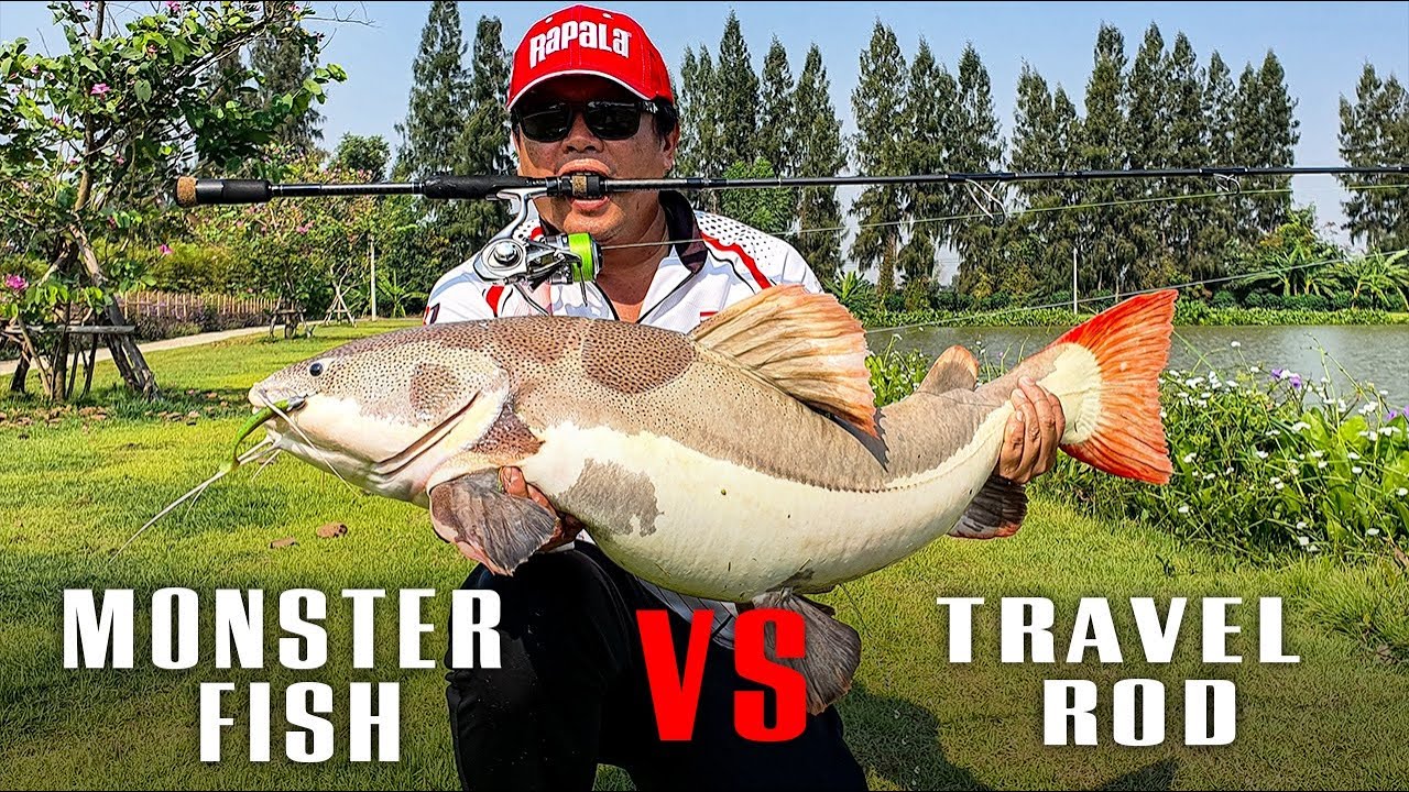 Monster Fish vs Travel Rods - Can travel rods handle monster fish?