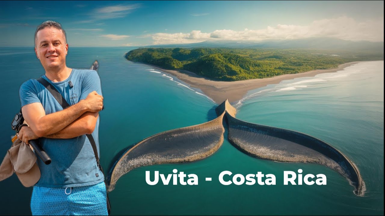 PARQUE BALLENA MARINA ¡Descubre el secreto de la Playa Cola de Ballena! UVITA - COSTA RICA