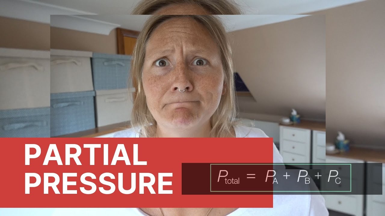 What is Partial Pressure? | SCUBA THEORY