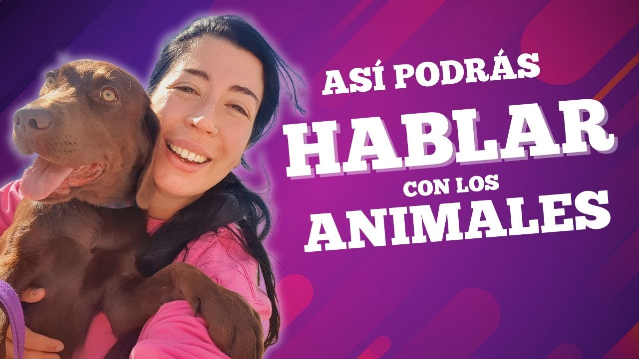 4 tips para mejorar tu COMUNICACI&Oacute;N ANIMAL, por Vico Bianco