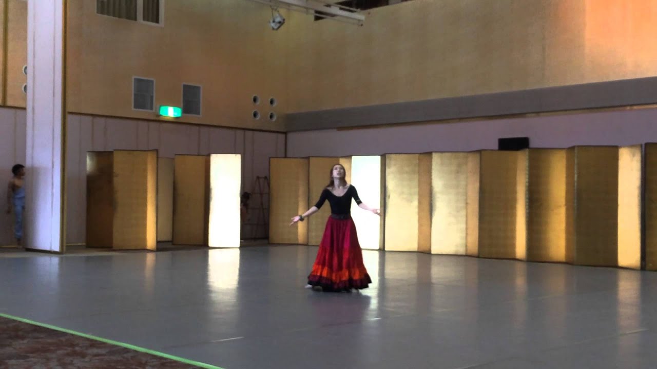 Gipsy dance Don Quixote Цыганский танец Дон Кихот ドンキ ジプシー2