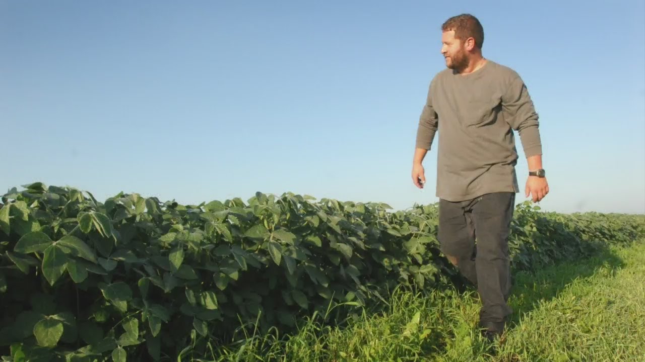 Soy Bean Farmers Decry Trump’s ‘Trade War’ With China