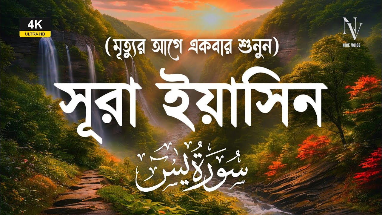 (মৃত্যুর আগে একবার শুনুন) সূরা ইয়াসিন | Quran Tilawat | Surah Yaseen (سورة يس) by Alaa Aqel 