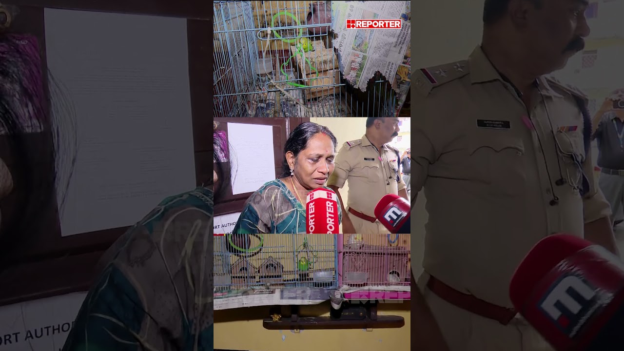 'എനിക്ക് സഹിക്കാൻ പറ്റുന്നില്ല, എന്താണ് ഈ കാണിച്ചിരിക്കുന്നത്'