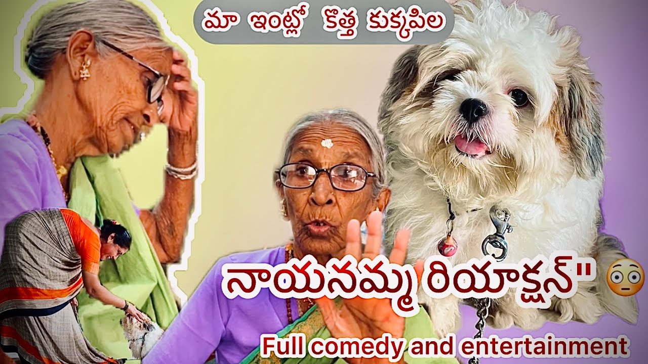 See the nanamma reaction 😱 new dog in my home #nanamma #funny #reaction #nenumenandhu