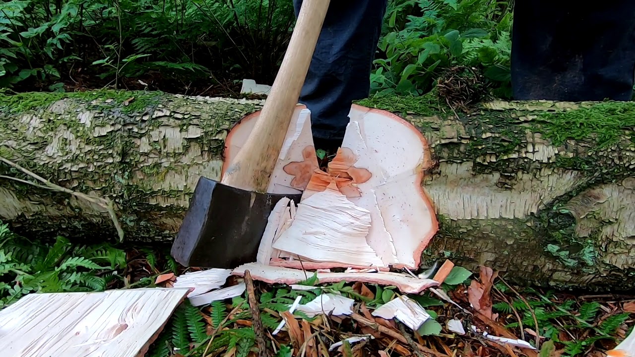 Felling and Bucking Tree with Restored Axe
