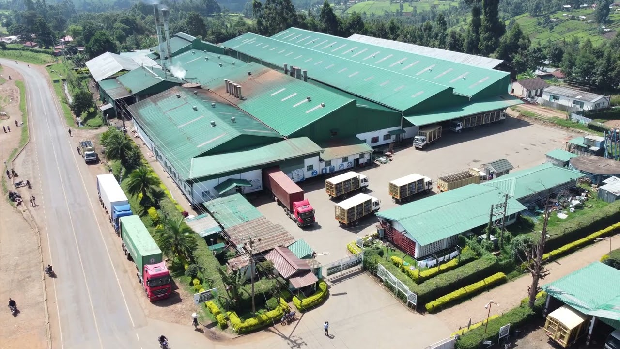 Olenguruone, Kapkoros, Motigo & Tirgaga KTDA Tea Factories Overview