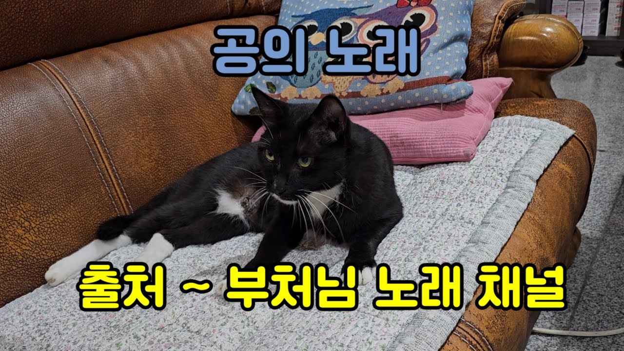 공의 노래 ~ 우리 사랑이 