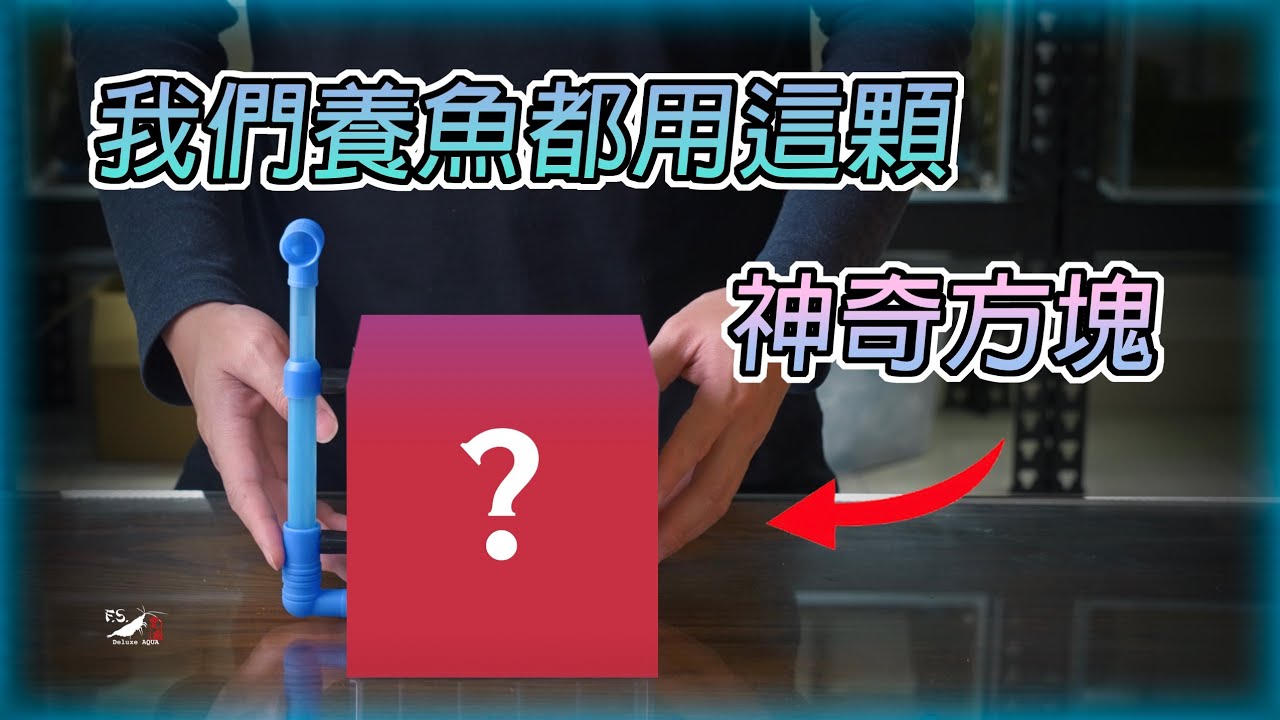 【開箱】這是什麼神奇方塊?!魚蝦都可以使用!｜給力｜氣舉盒｜我只是個養蝦的