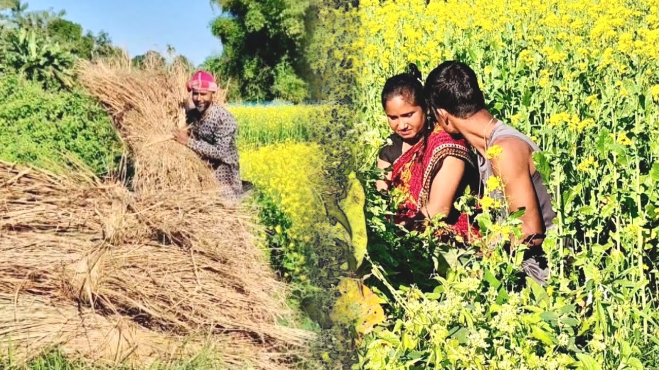 সৰু খেতে যখন প্ৰেম কৰে🔥।