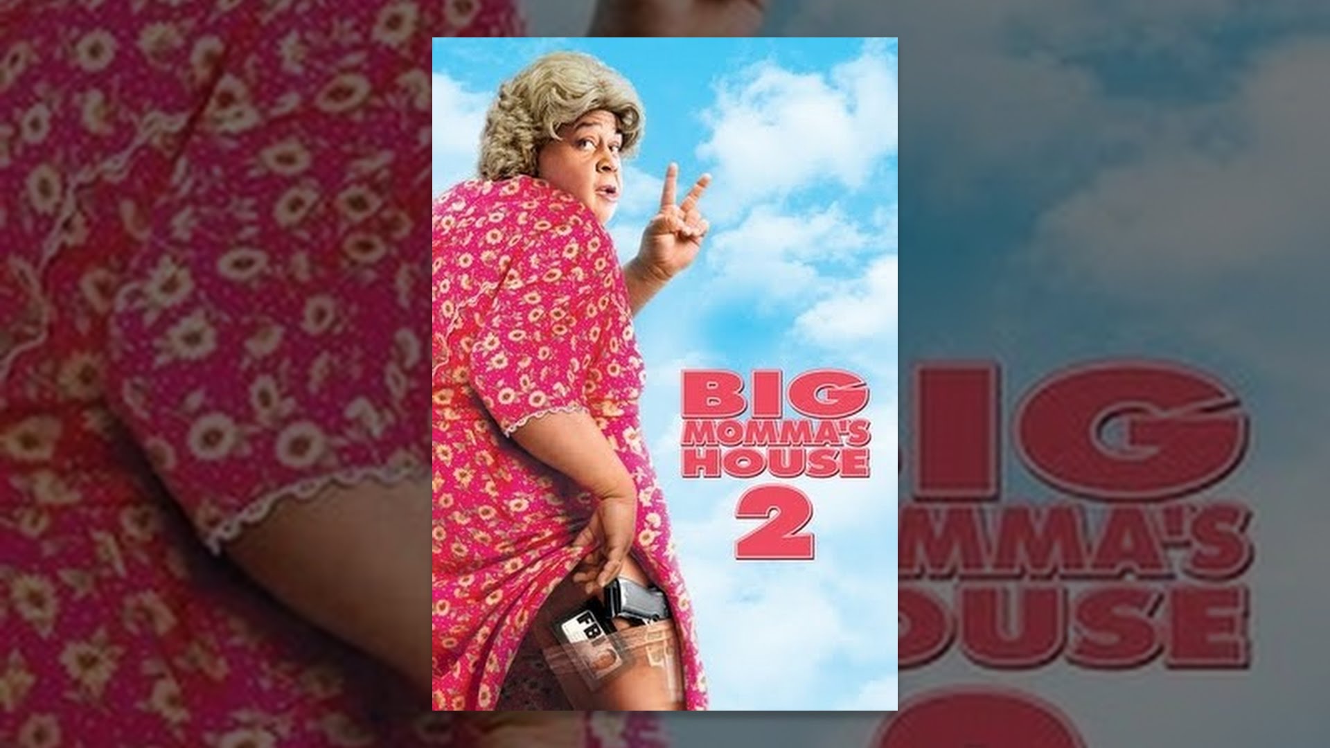 Big Momma's House 2