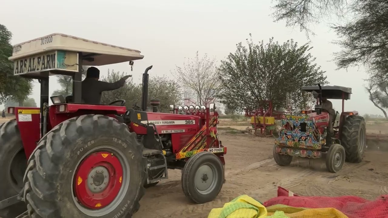 ARSAL FARM