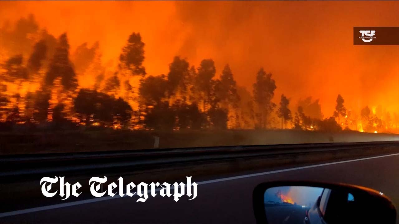 Reporter films narrow escape from raging fires on motorway