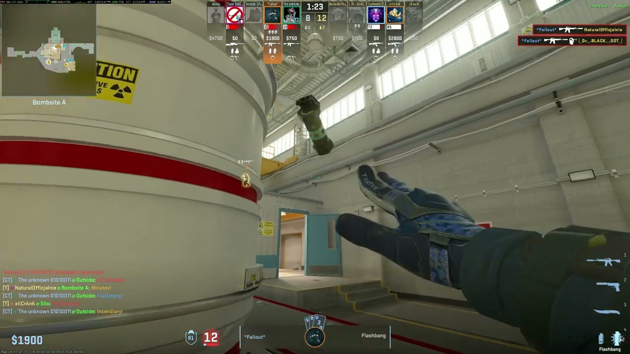 Fallout ACE Smoking them through the smoke CS2