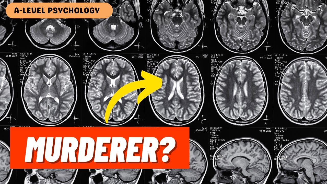 The Dark Side of Research: Ethical Implications & Socially Sensitive Research | A-level Psychology