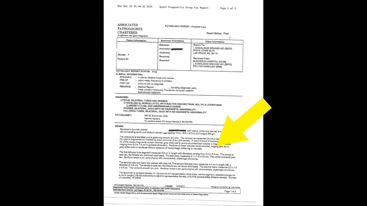 What is a Pathology Report?