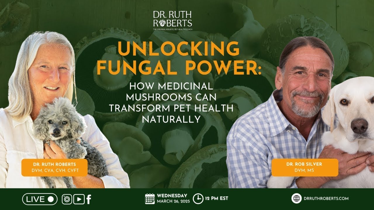 Unlocking Fungal Power  How Medicinal Mushrooms Can Transform Pet Health Naturally