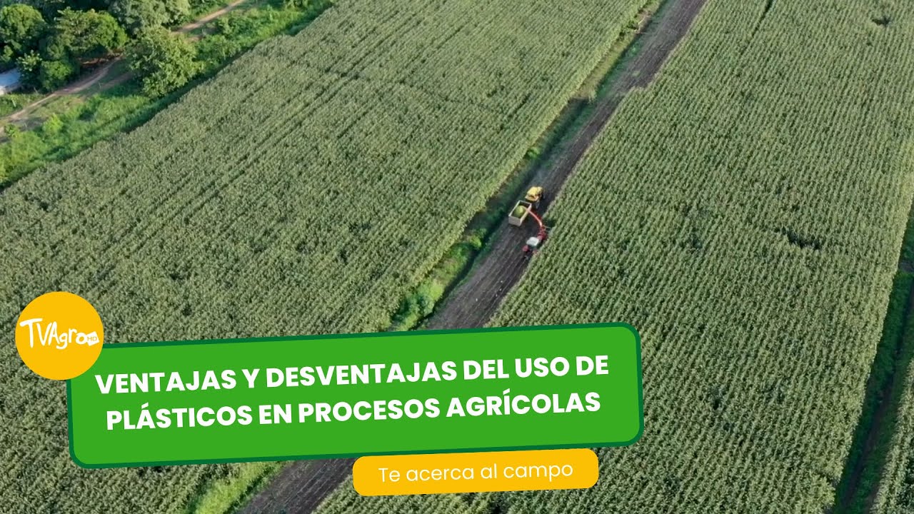 Ventajas y desventajas del uso de plásticos en procesos agrícolas - por Juan Gonzalo Angel Restrepo