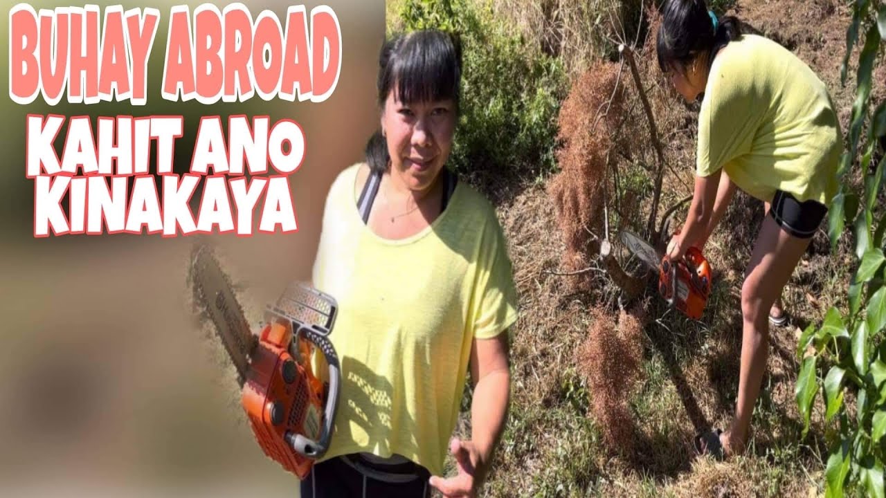 MY FAVORITE CHAINSAW HUSQVARNA T525 THE BEST! CLEANING THE GARDEN | GIRL POWER