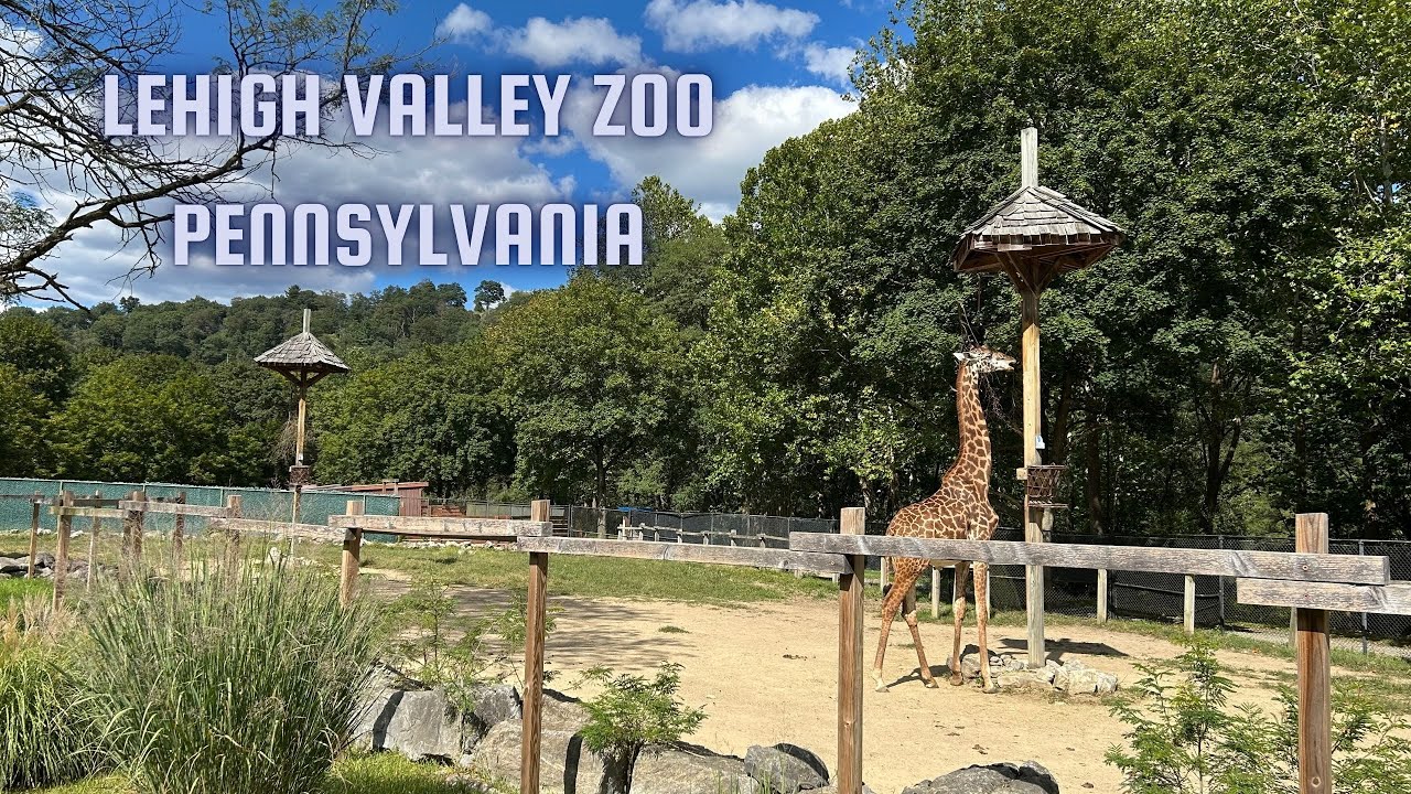 Adorable Animals At The Lehigh Valley Zoo Pennsylvania