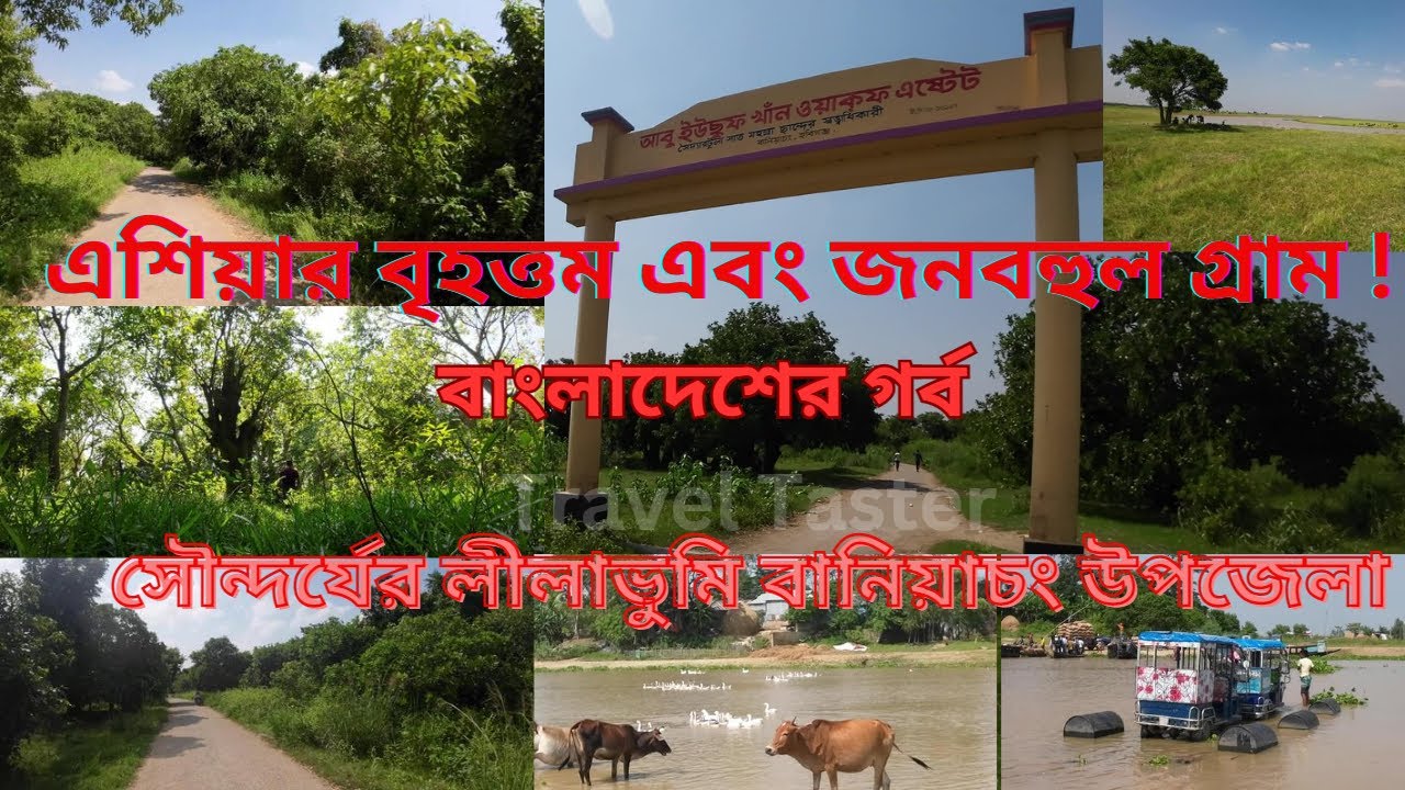 ঐতিহ্যবাহী হরতি জঙ্গল  বানিয়াচং | Hartir Jungle Baniachong |  Habiganj