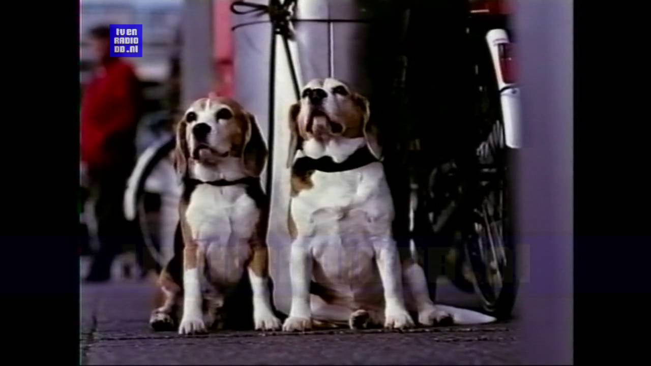 TV: NET5 - Reclameblok (20000429, + 2340)