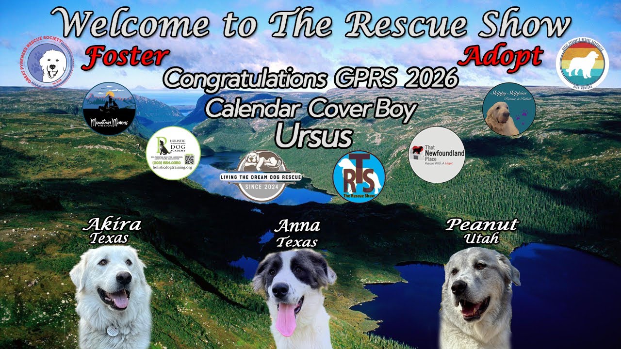 The Rescue Show Live 1-11-2026