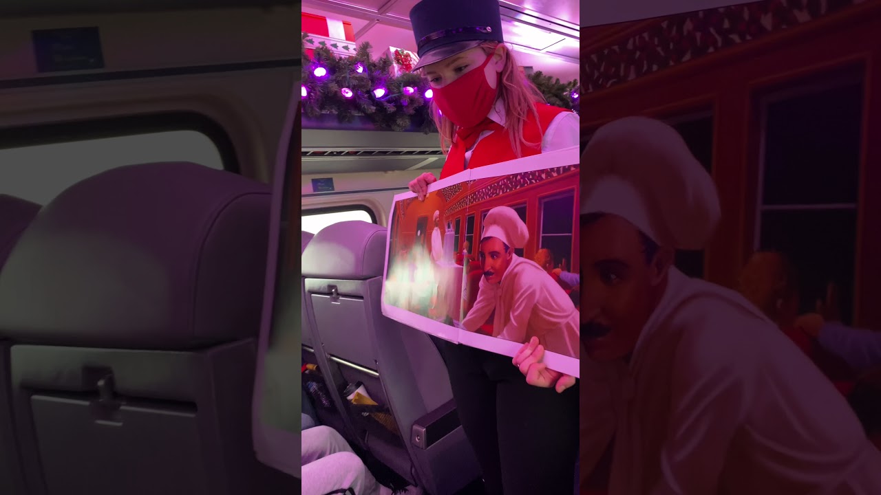 Polar Express. Chicago. December 2021