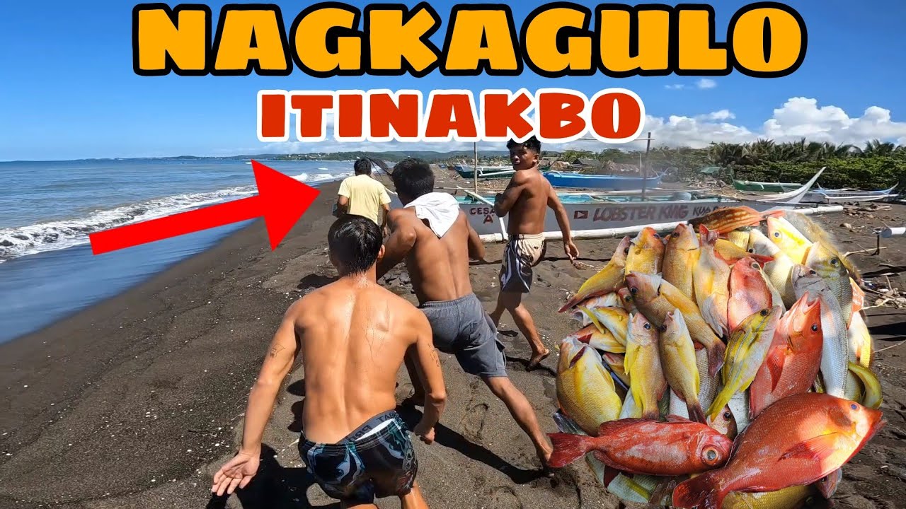 BAKAW | NAGKAGULO SA TABING DAGAT | NAGKAHABULAN PA