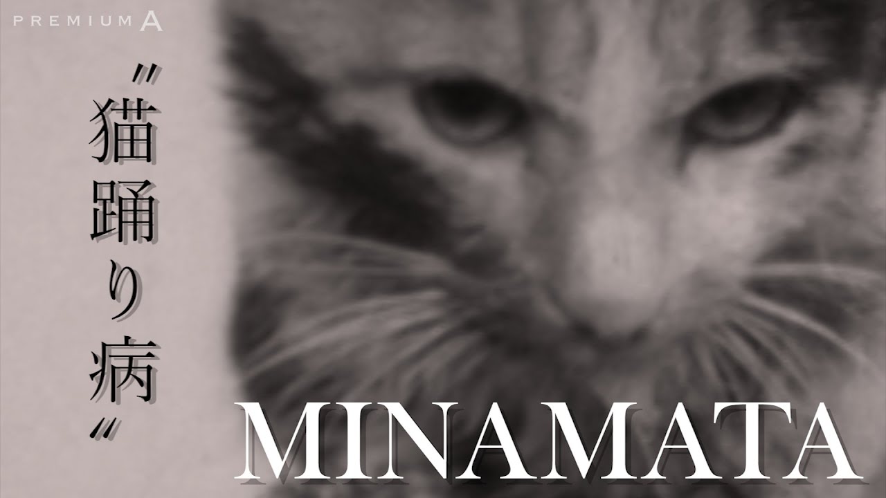 【MINAMATA】“猫踊り病”～最初の異変は漁村の猫だった～