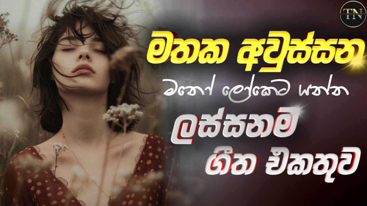 භාවනාවක් වගේ සිංදු | Manoparakata Sindu | Sinhala Sindu | Best Sinhala Songs Collection | JukeBoxVol
