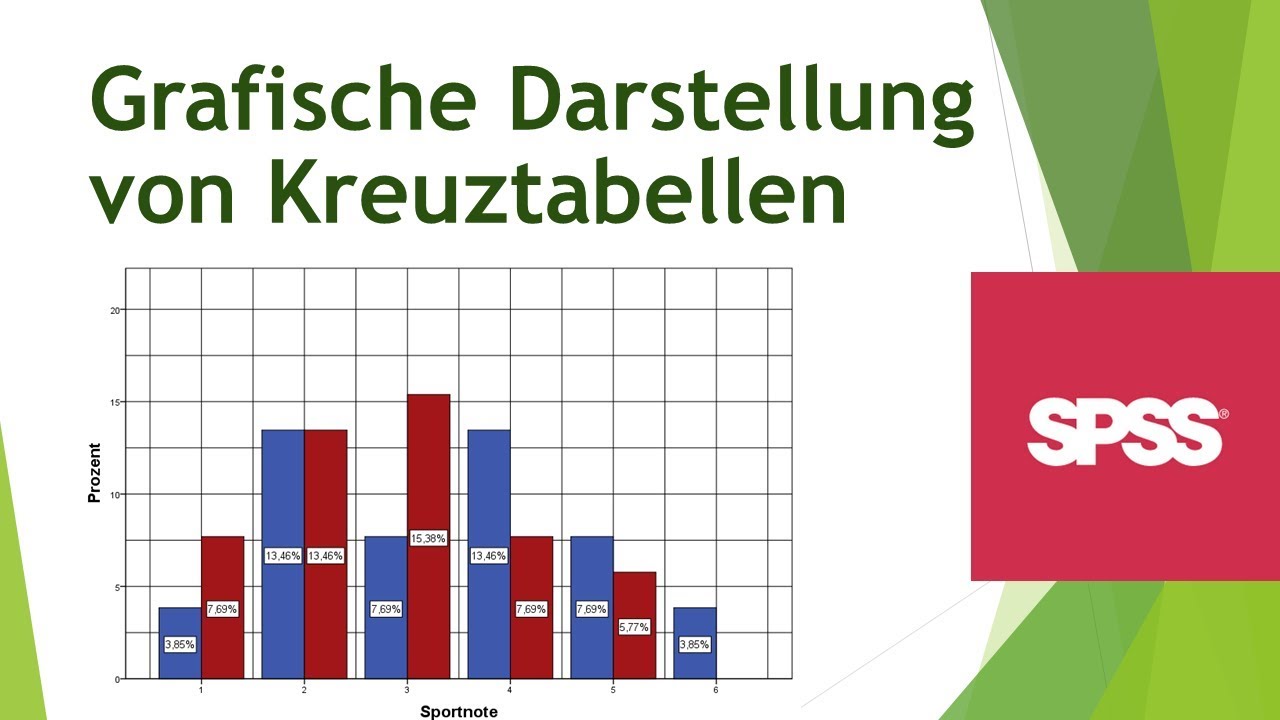 Grafische Darstellung von Kreuztabellen in SPSS - Daten visualisieren in SPSS (15)