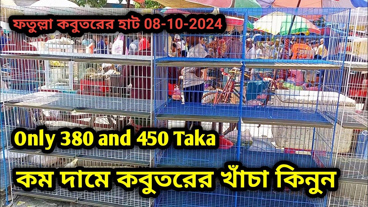 08-10-2024 কম দামে কবুতরের খাঁচা কিনুন। Only 380 and 450 Taka. ফতুল্লা কবুতর হাট। Pigeon cage price